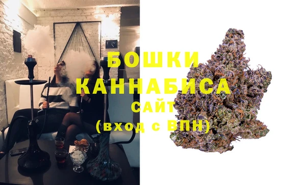 дмт Белокуриха