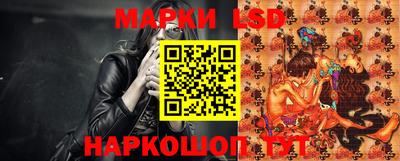 МДПВ Бийск