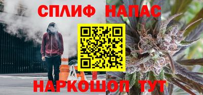 МДПВ Бийск