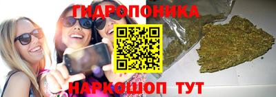 apvp Берёзовский