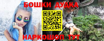 МДПВ Бийск