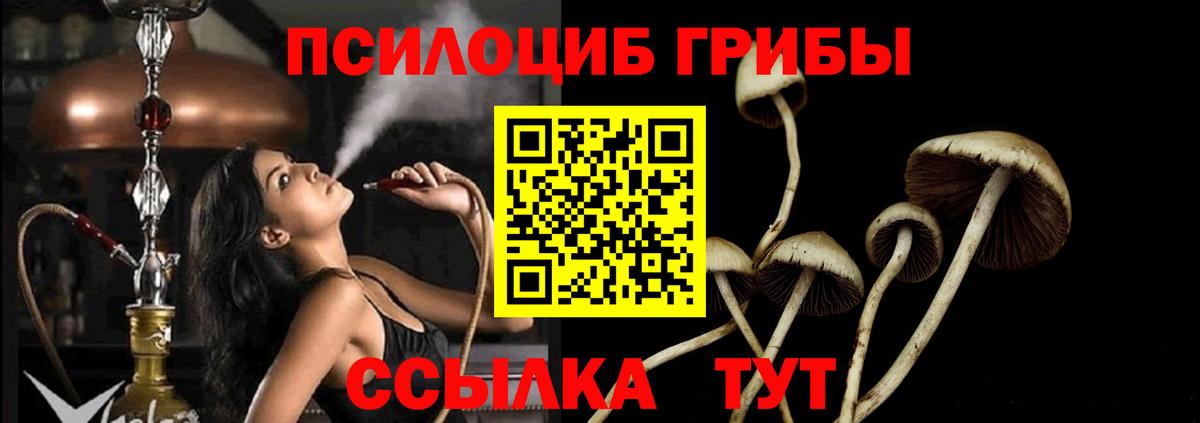 Гулькевичи  Галлюциногенные грибы прущие грибы  Псилоцибиновые грибы Psilocybe  Вход с VPN 