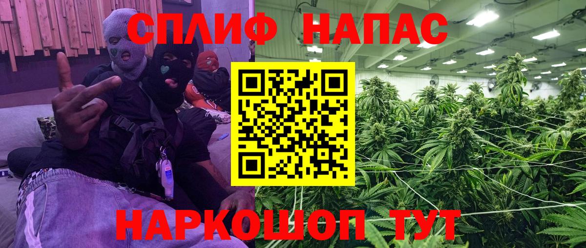 Бошки Шишки конопля  Бошки марихуана SATIVA & INDICA  Канабис VHQ  Гулькевичи 